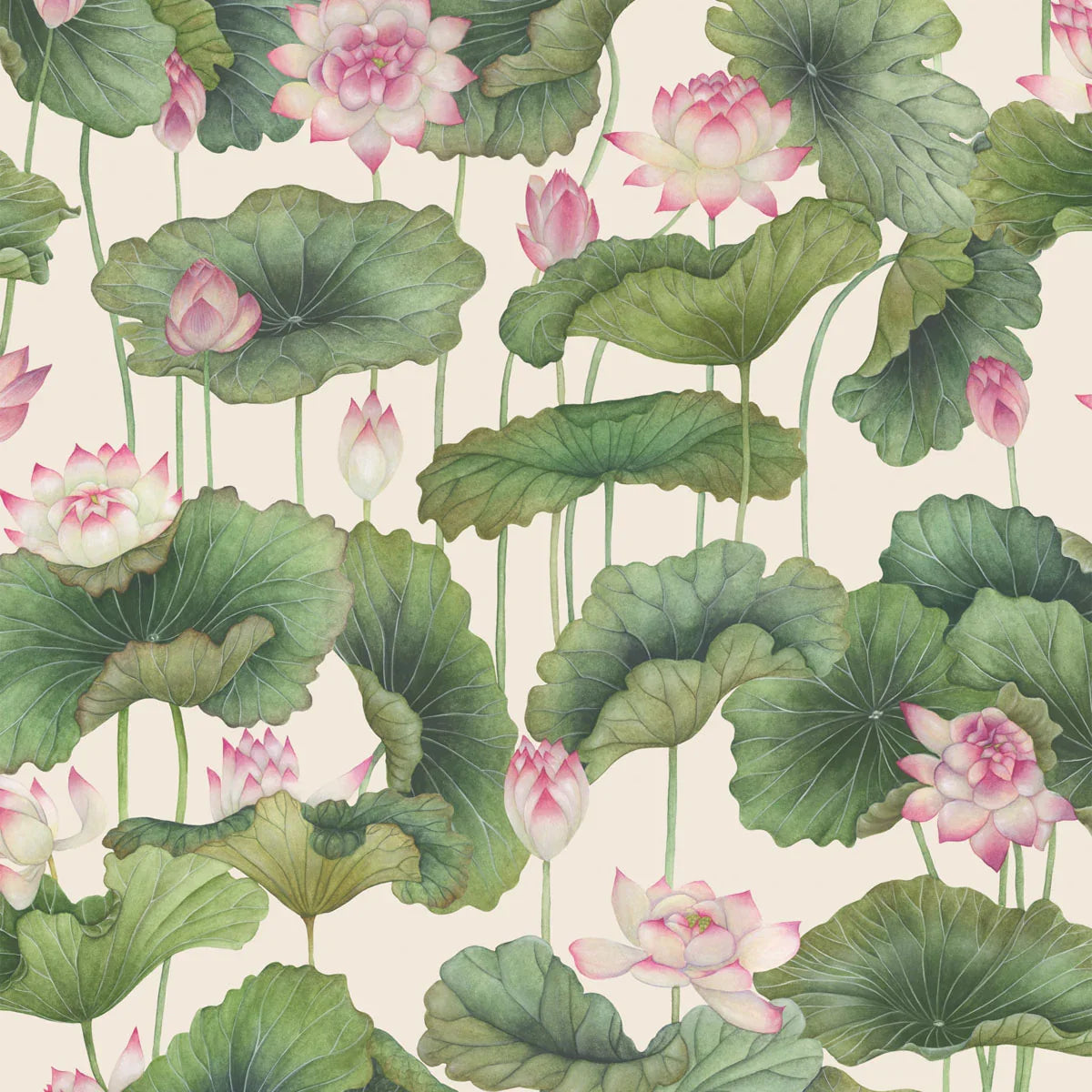 Lily Lotus Wallpaper - Cole & Son