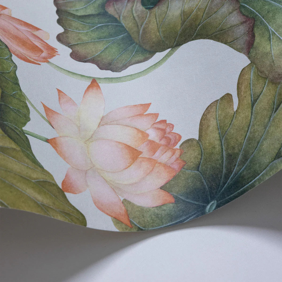 Lily Lotus Wallpaper - Cole & Son