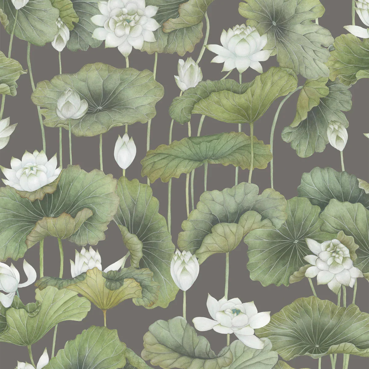 Lily Lotus Wallpaper - Cole & Son
