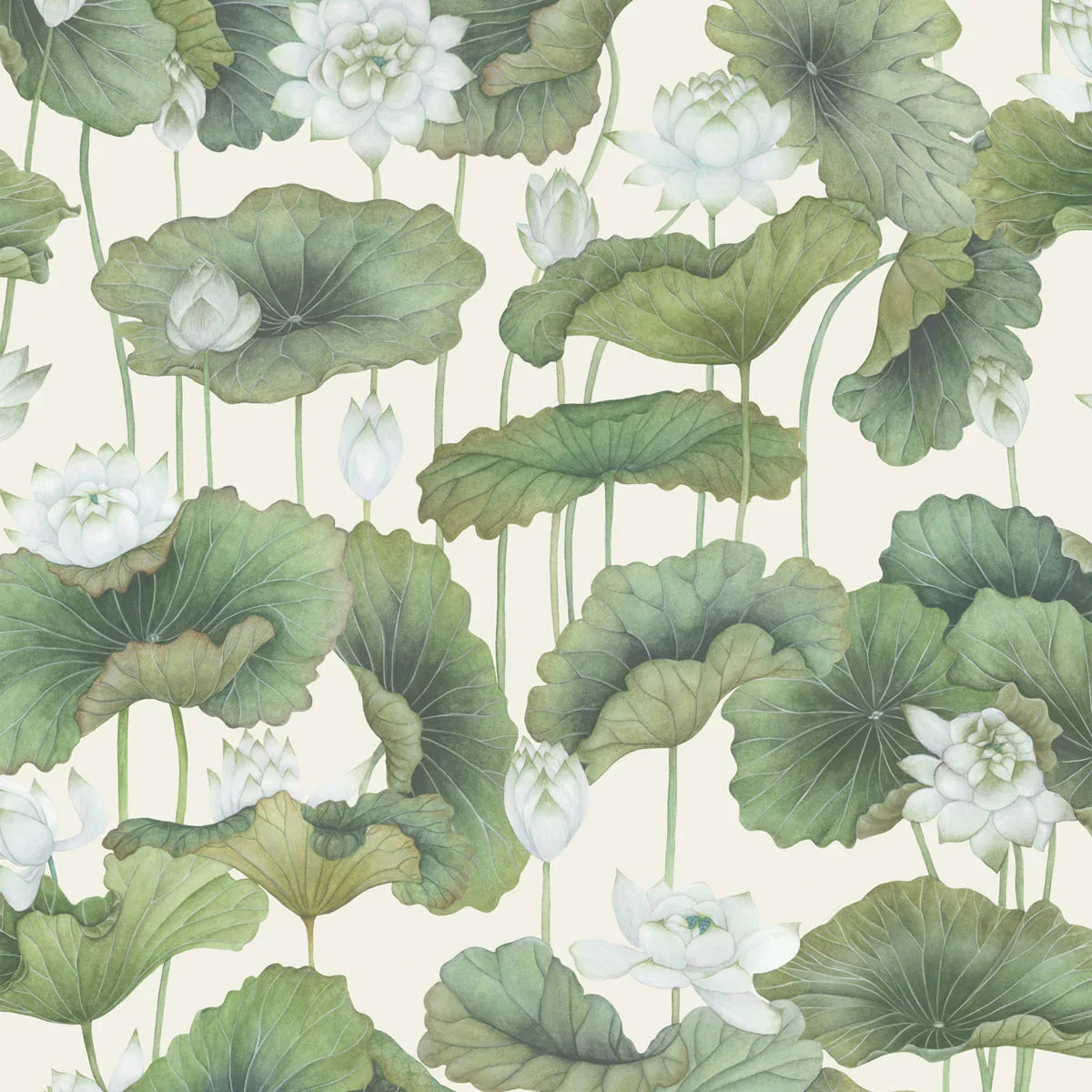 Lily Lotus Wallpaper - Cole & Son
