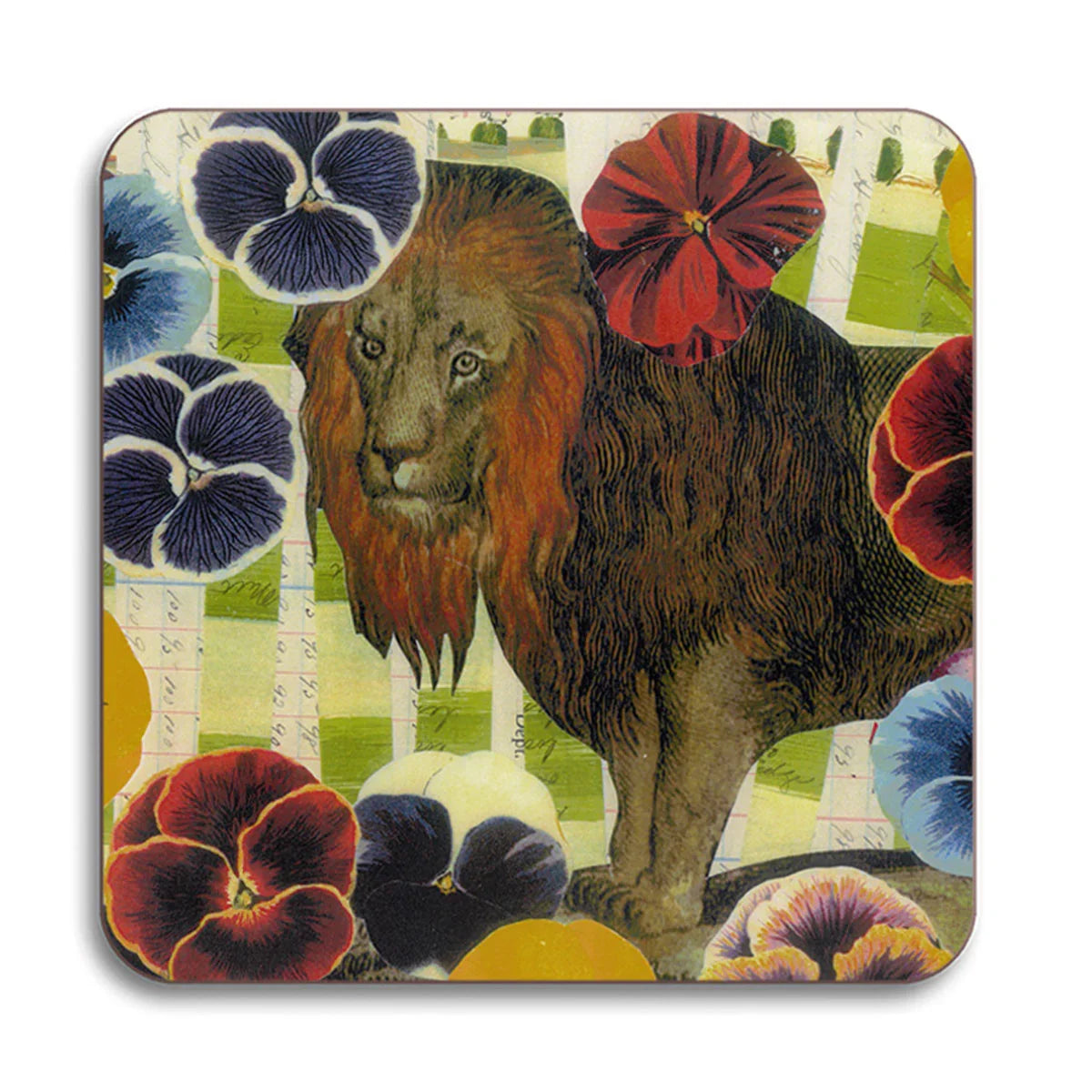 Coaster - Avenida Home