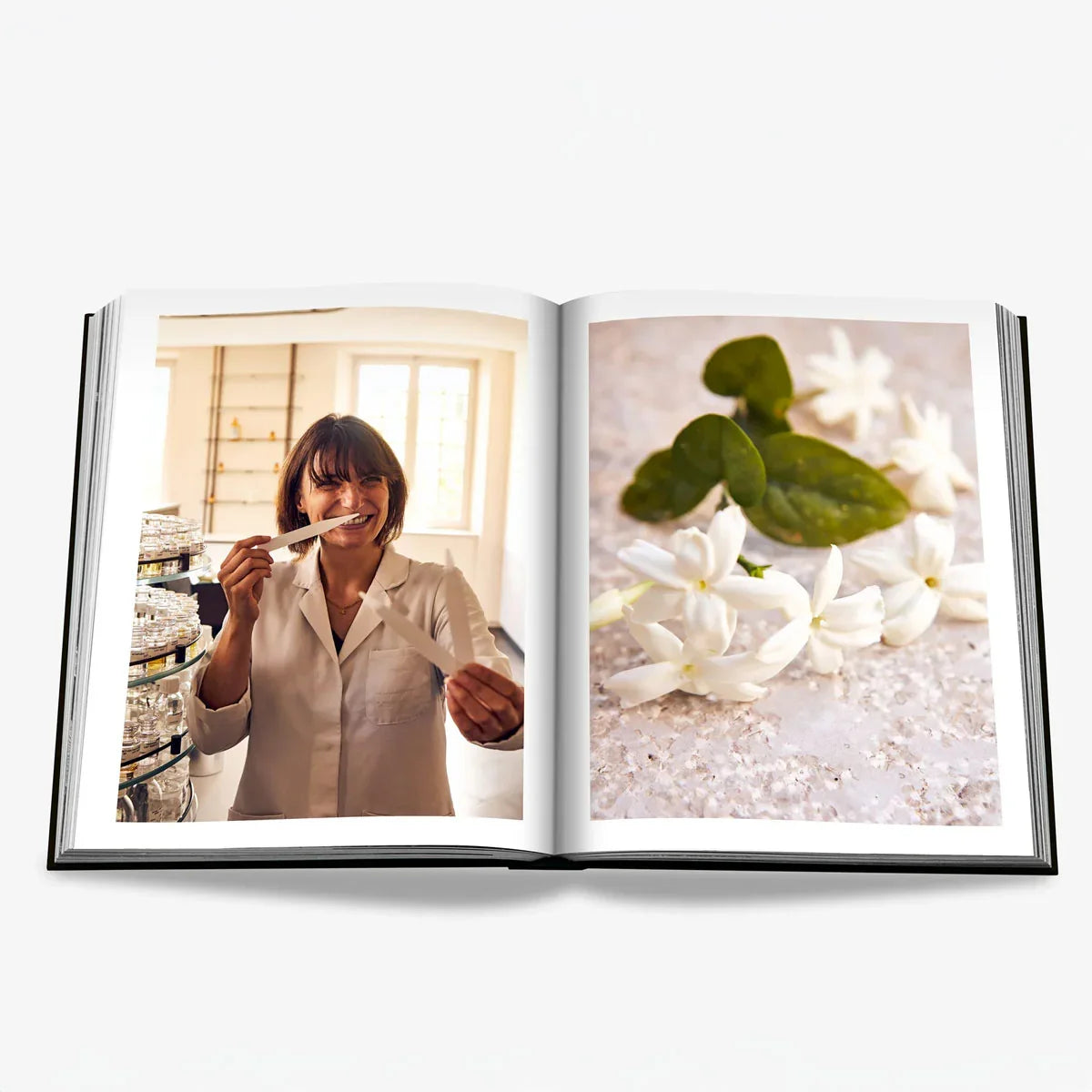 Louis Vuitton Manufactures - Assouline
