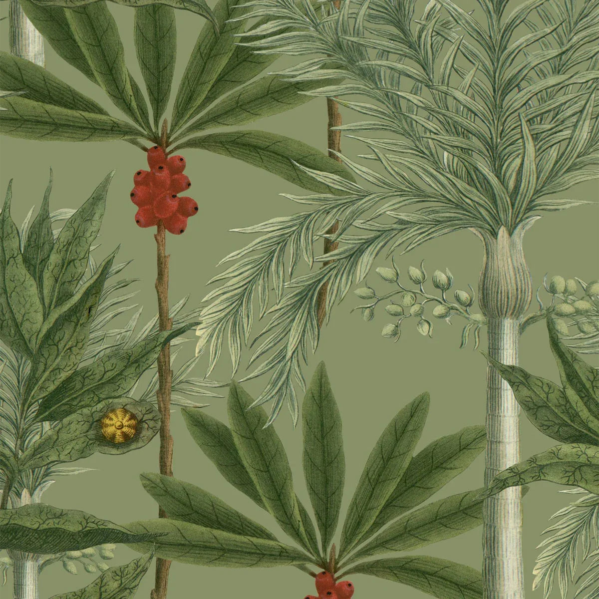 Madagascar Wallpaper - Mind The Gap