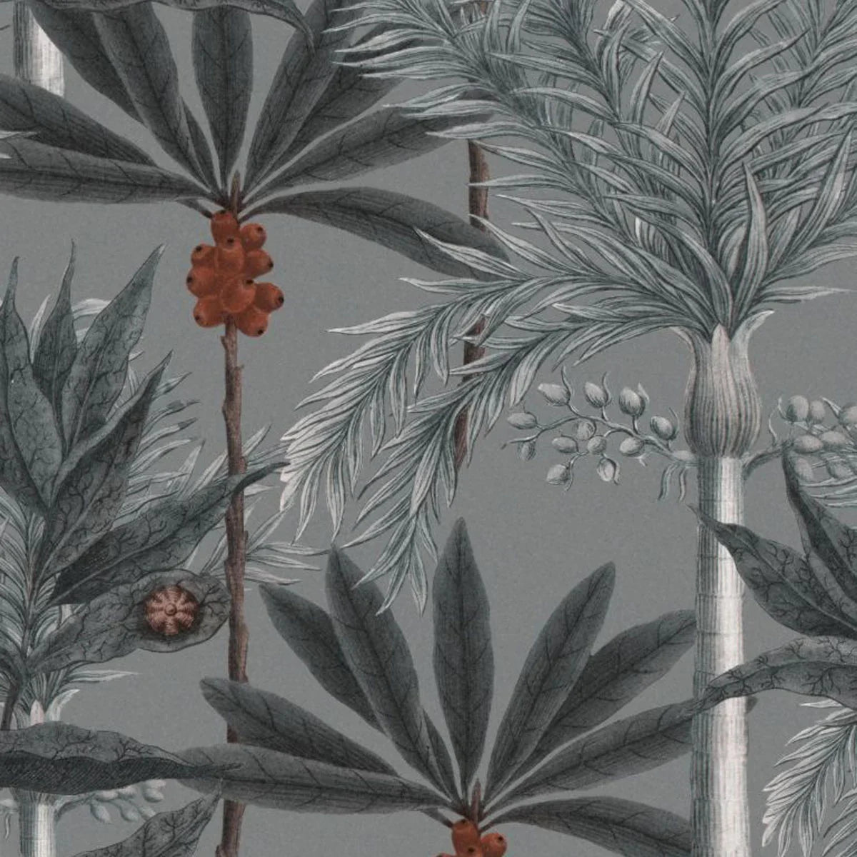 Madagascar Wallpaper - Mind The Gap