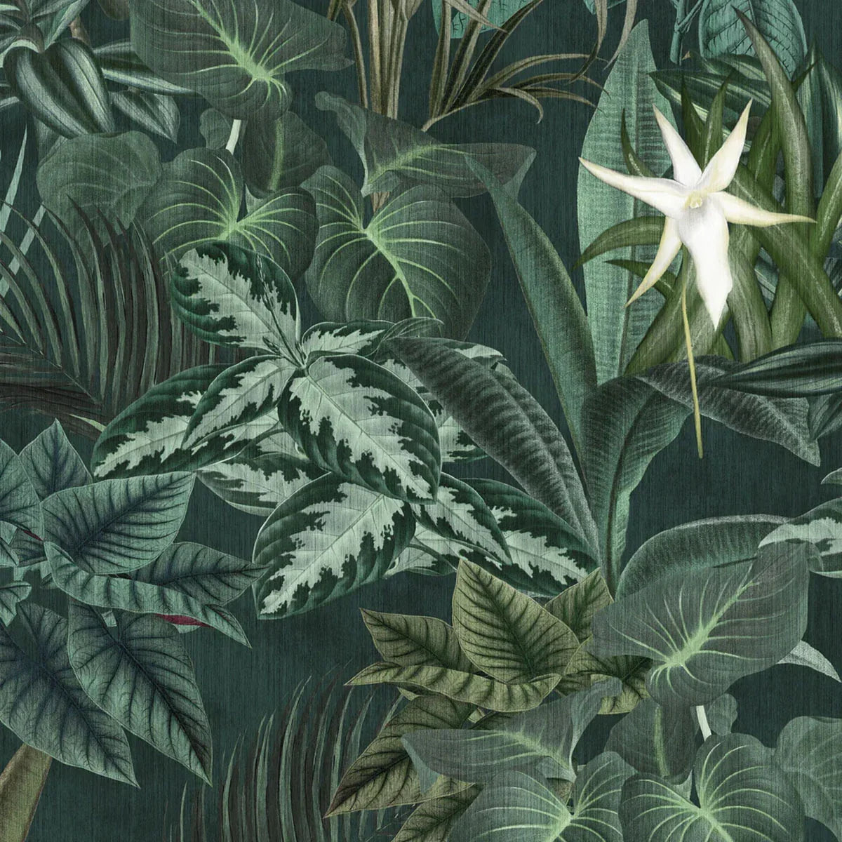 Madagascar Leaves Mural Wallpaper - Borastapeter