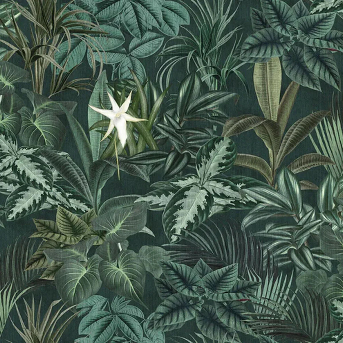 Madagascar Leaves Mural Wallpaper - Borastapeter