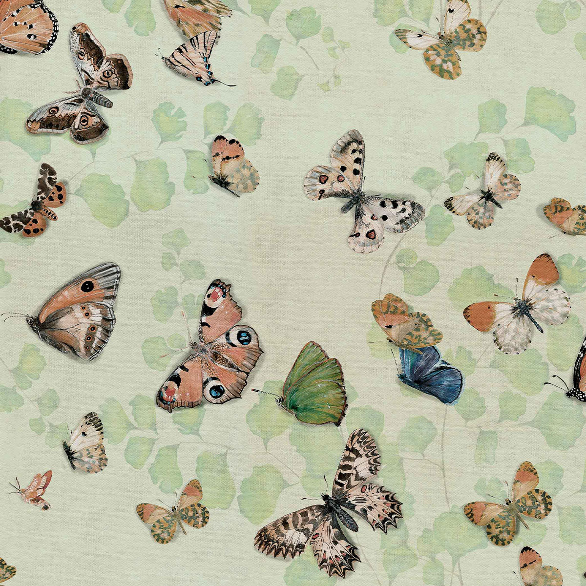 Magic Butterflies Wallpaper - Coordonne