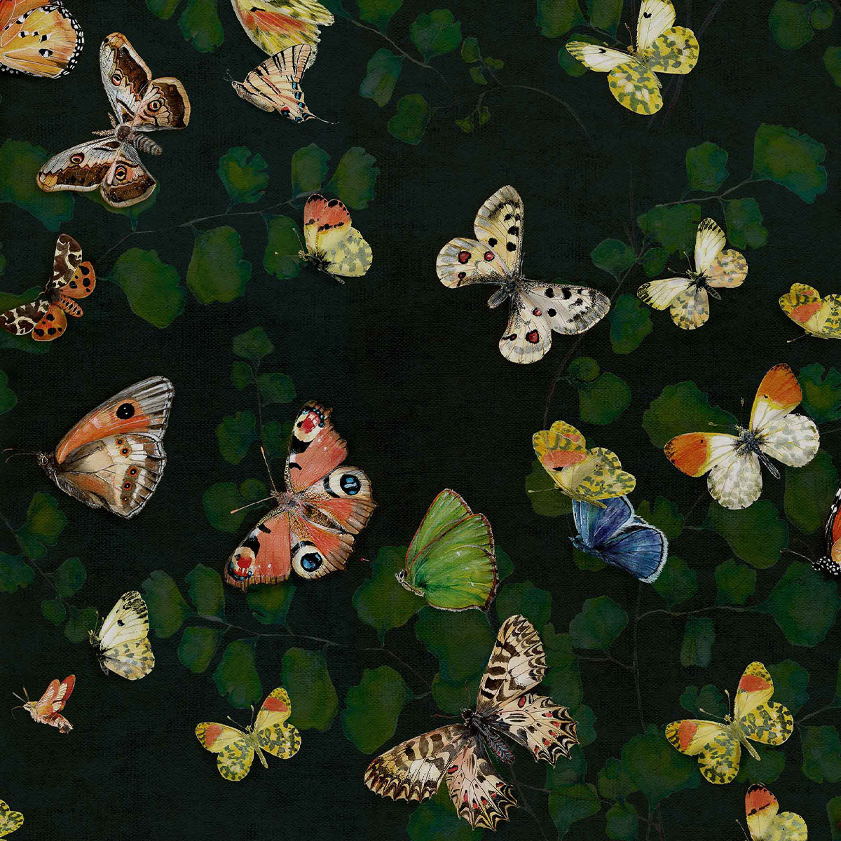 Magic Butterflies Wallpaper - Coordonne