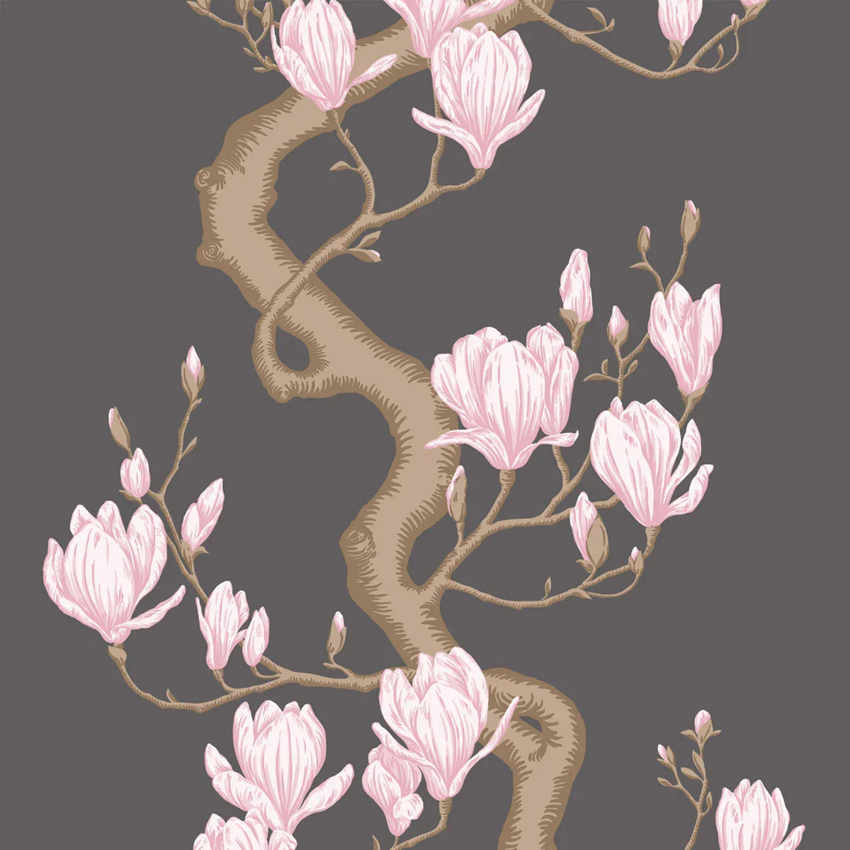 Magnolia Tree Wallpaper - Cole & Son