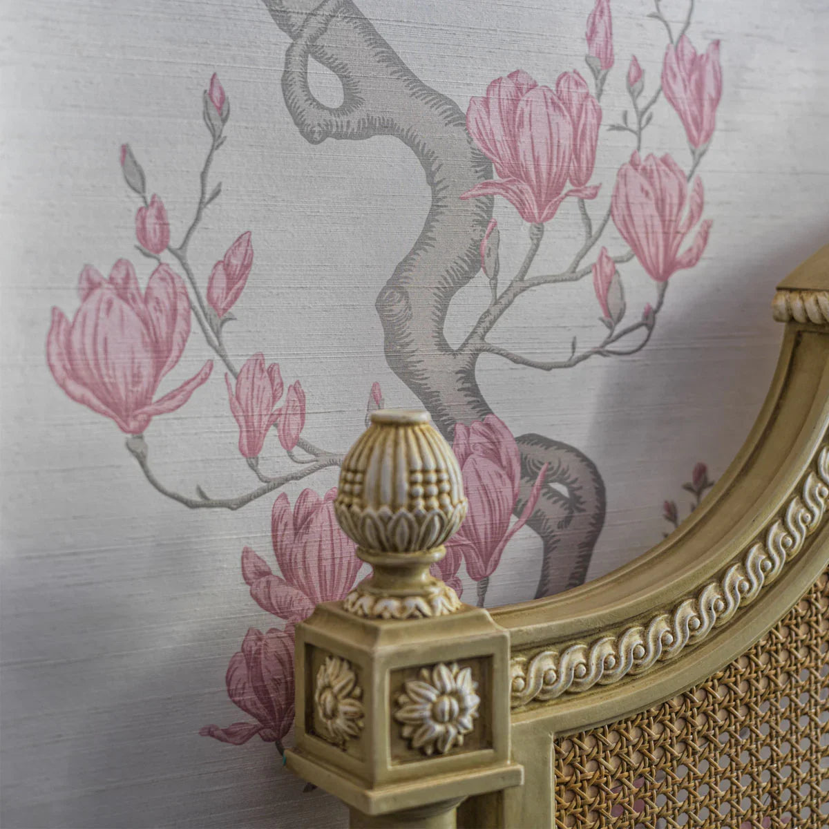 Magnolia Tree Wallpaper - Cole & Son