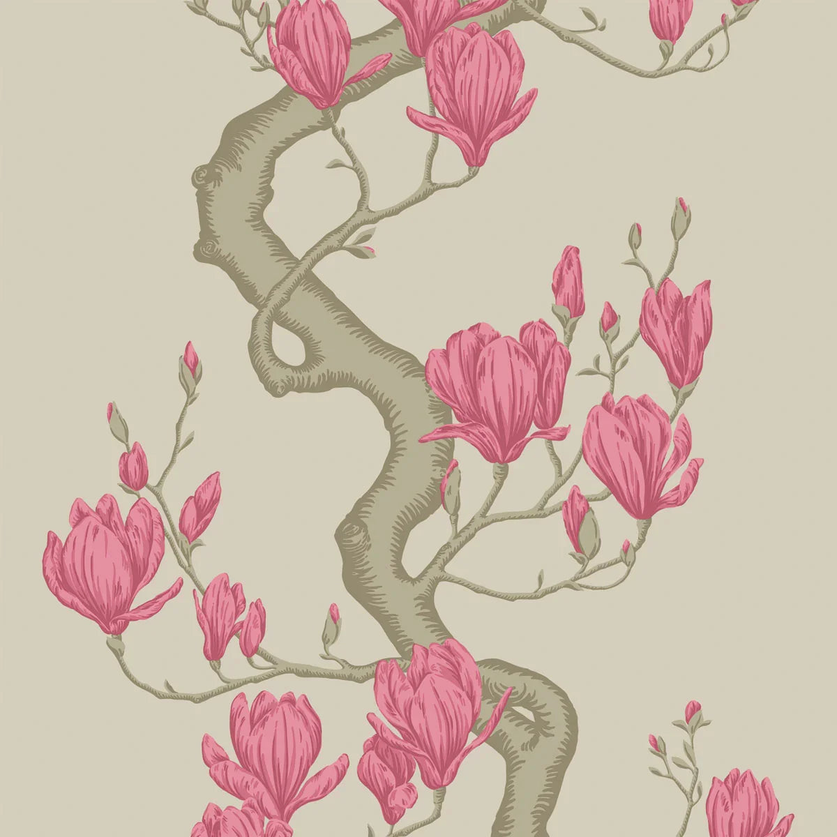 Magnolia Tree Wallpaper - Cole & Son