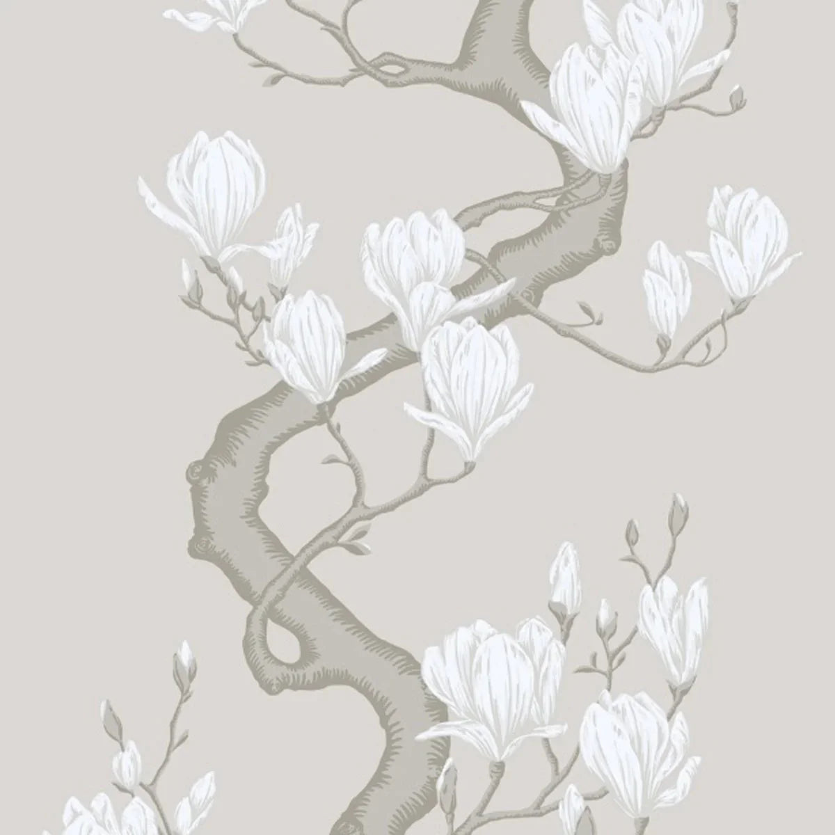 Magnolia Tree Silk Wallpaper - Cole & Son