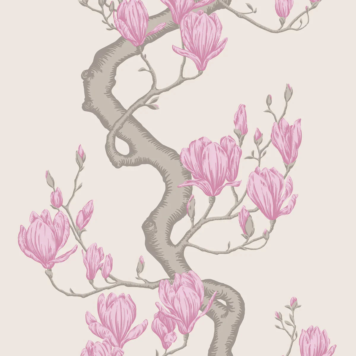 Magnolia Tree Wallpaper - Cole & Son