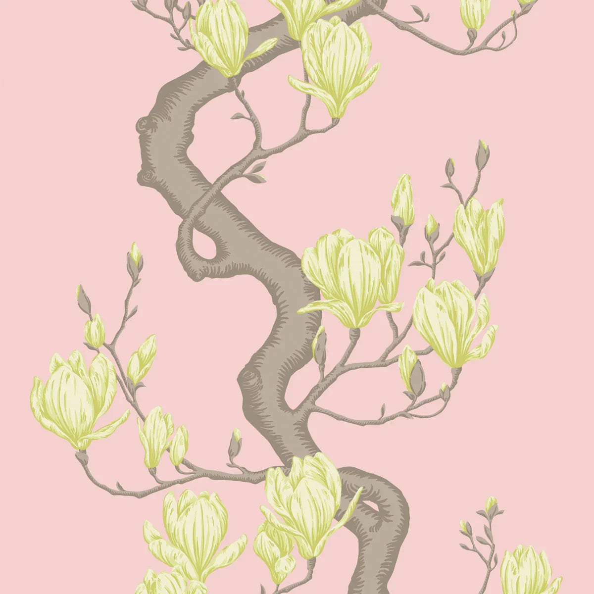 Magnolia Tree Wallpaper - Cole & Son