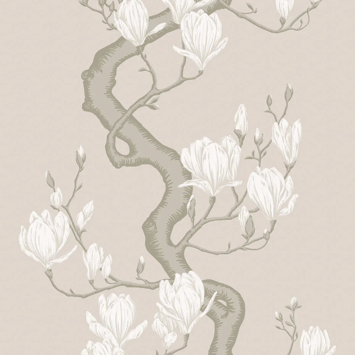 Magnolia Tree Wallpaper - Cole & Son