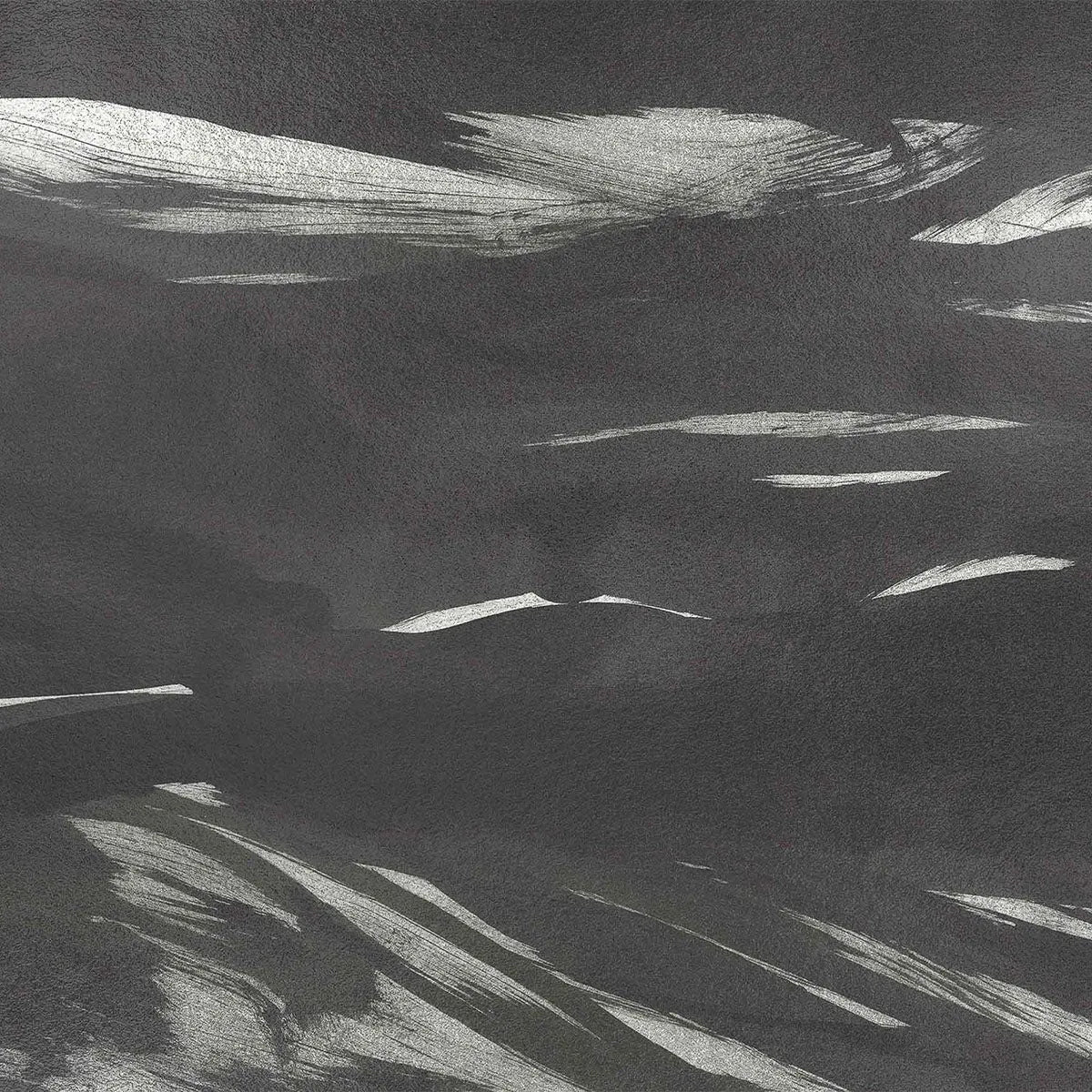 Marine Xray Metallics Mural Wallpaper - Coordonne