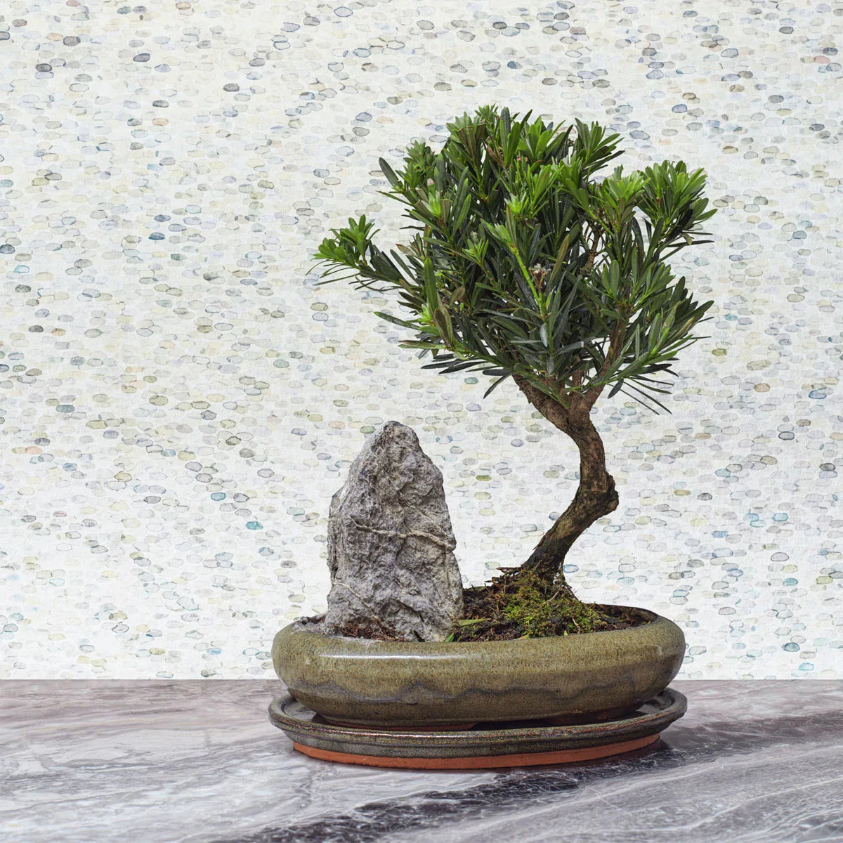 Meditation Stone Wallpaper - Cole & Son