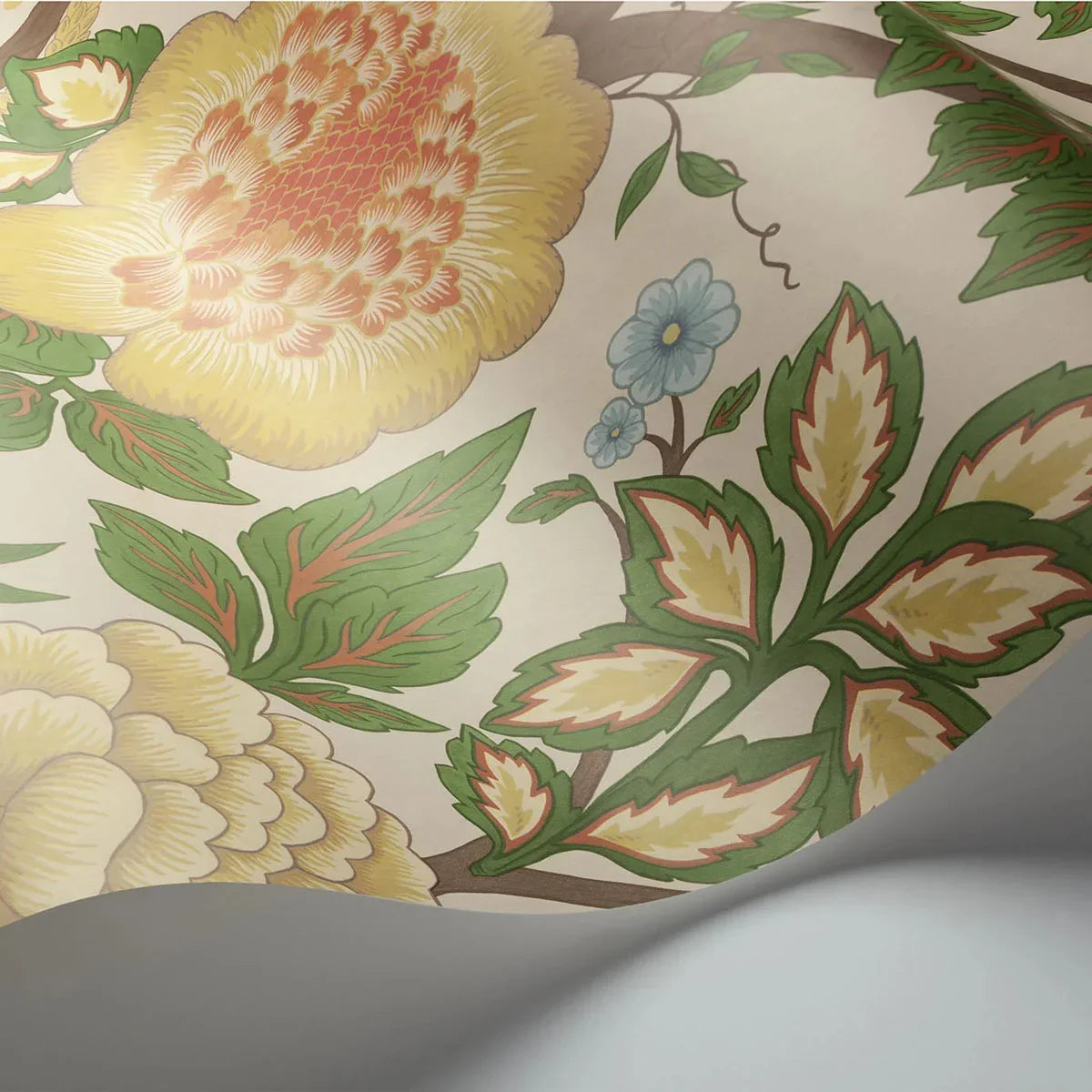 Midsummer Bloom Wallpaper - Cole & Son