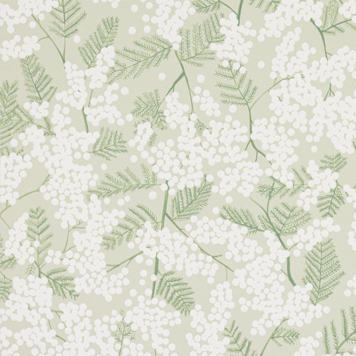 Jane Churchill - Mimosa Wallpaper