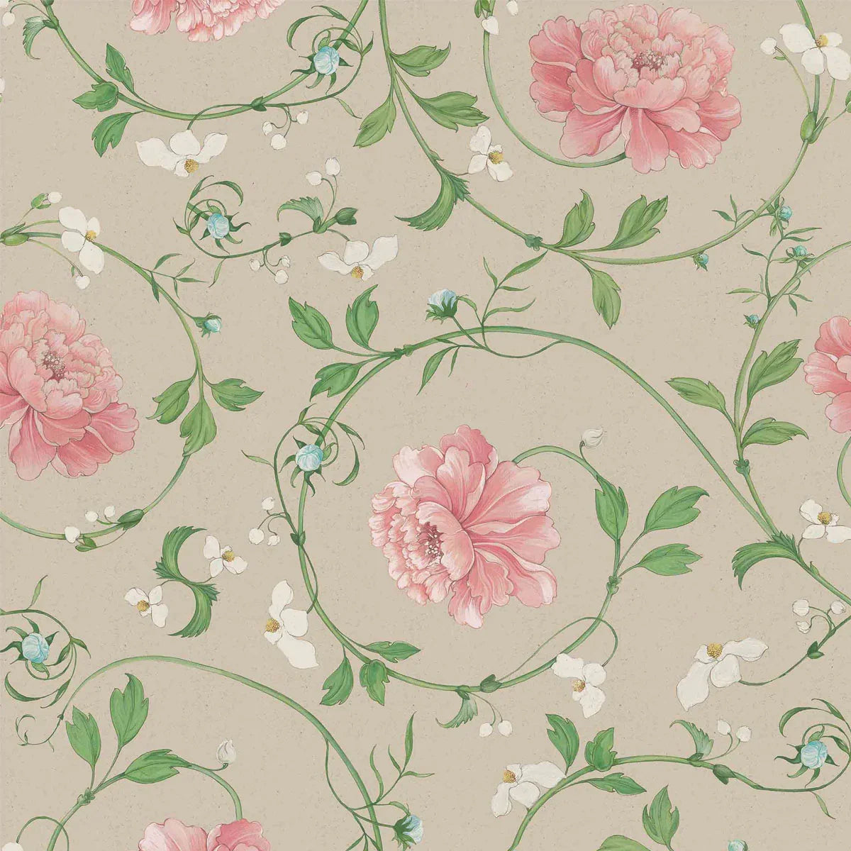 Mirabelle Wallpaper - Coordonne