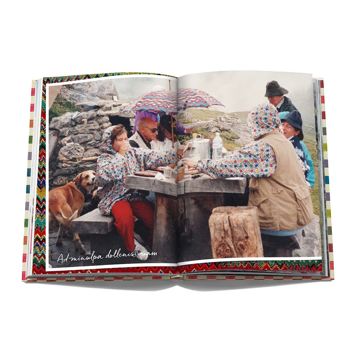 The Missoni Family Cookbook - Assouline