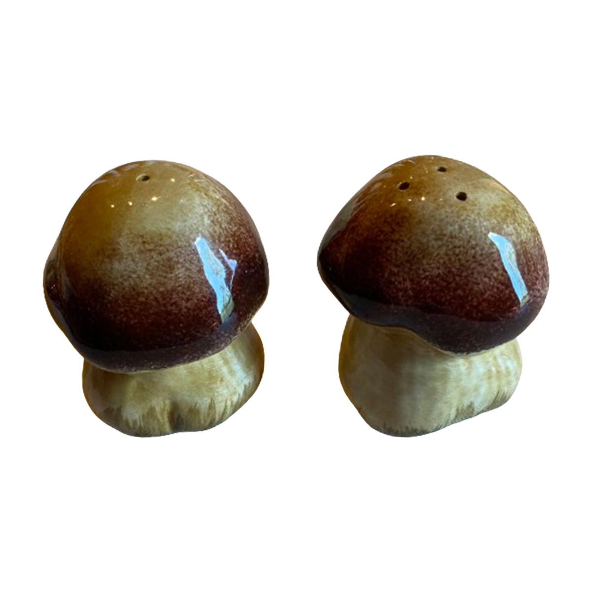 Hand Painted Mushroom Ceramic Salt and Pepper Shakers - Les Ottomans