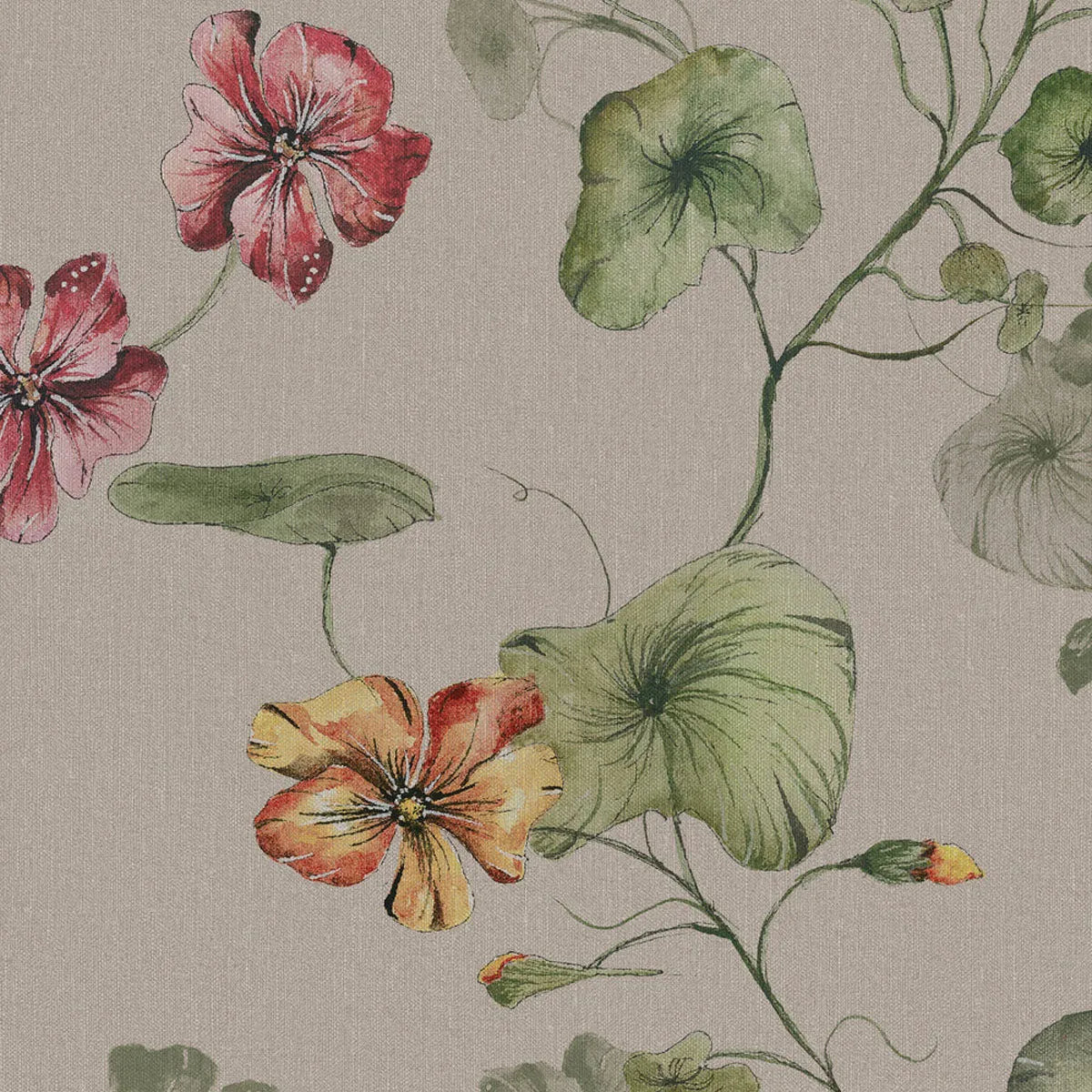 My Feldt Trädgårdskrasse Mural Wallpaper - Borastapeter