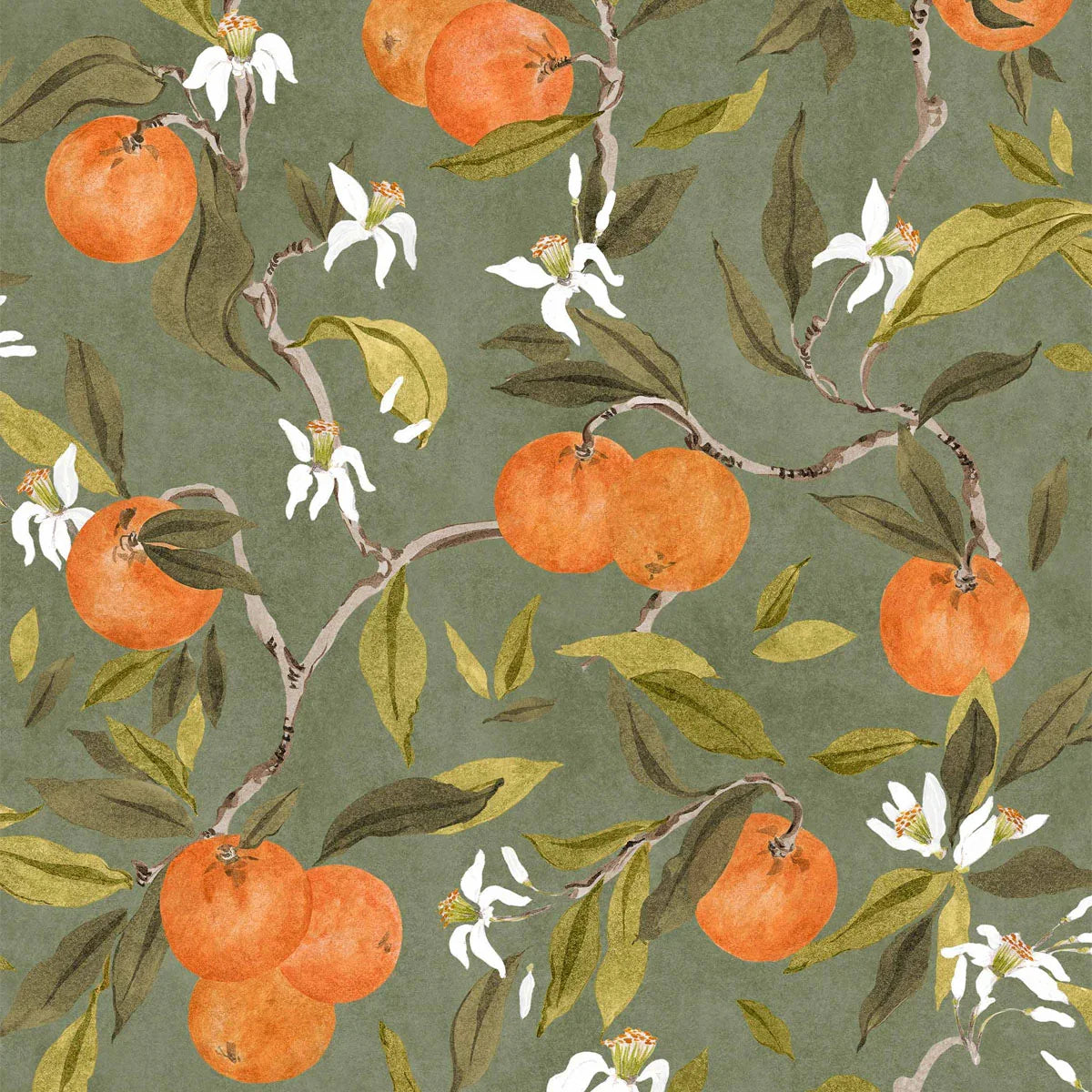 Naranjos Wallpaper - Coordonne