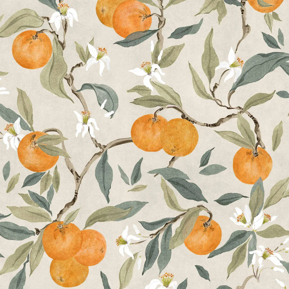 Naranjos Wallpaper - Coordonne