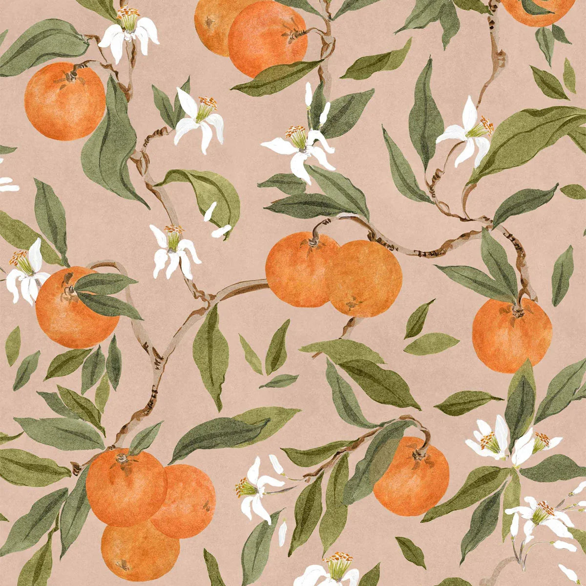 Naranjos Wallpaper - Coordonne