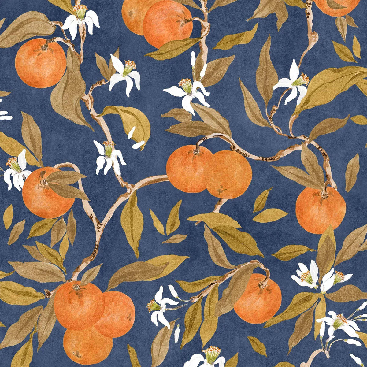 Naranjos Wallpaper - Coordonne