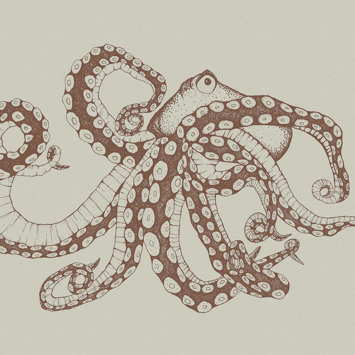 Octopus X-Ray Mural Wallpaper - Coordonne