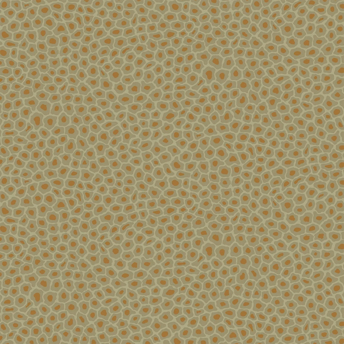 Senzo Spot Wallpaper- Cole & Son