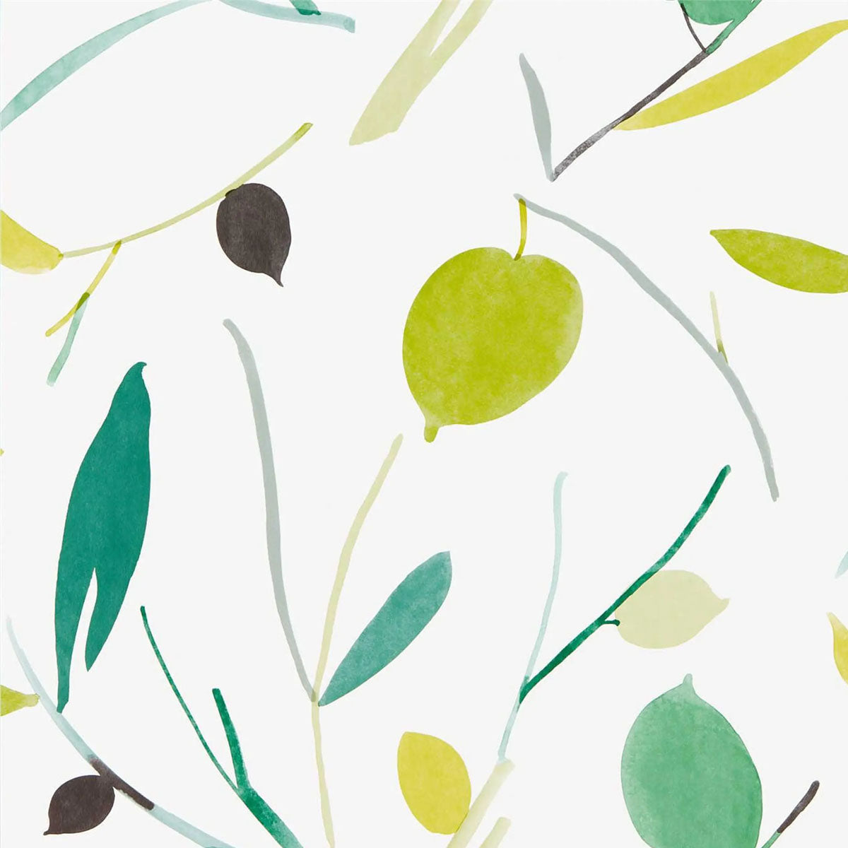 Oxalis Wallpaper - Scion