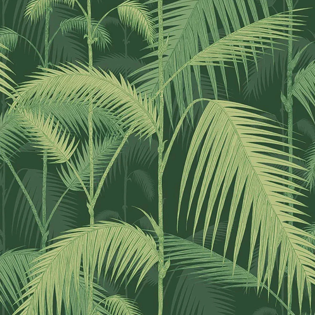 Palm Jungle Icons Wallpaper - Cole & Son