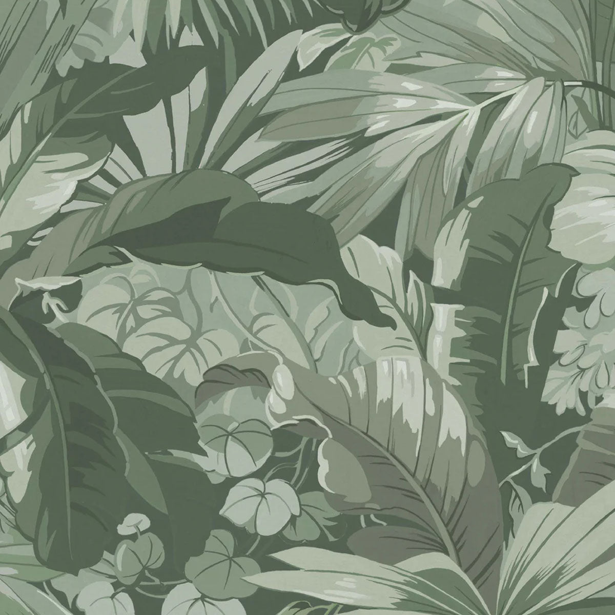 Palm Leaf Mural Wallpaper - Borastapeter