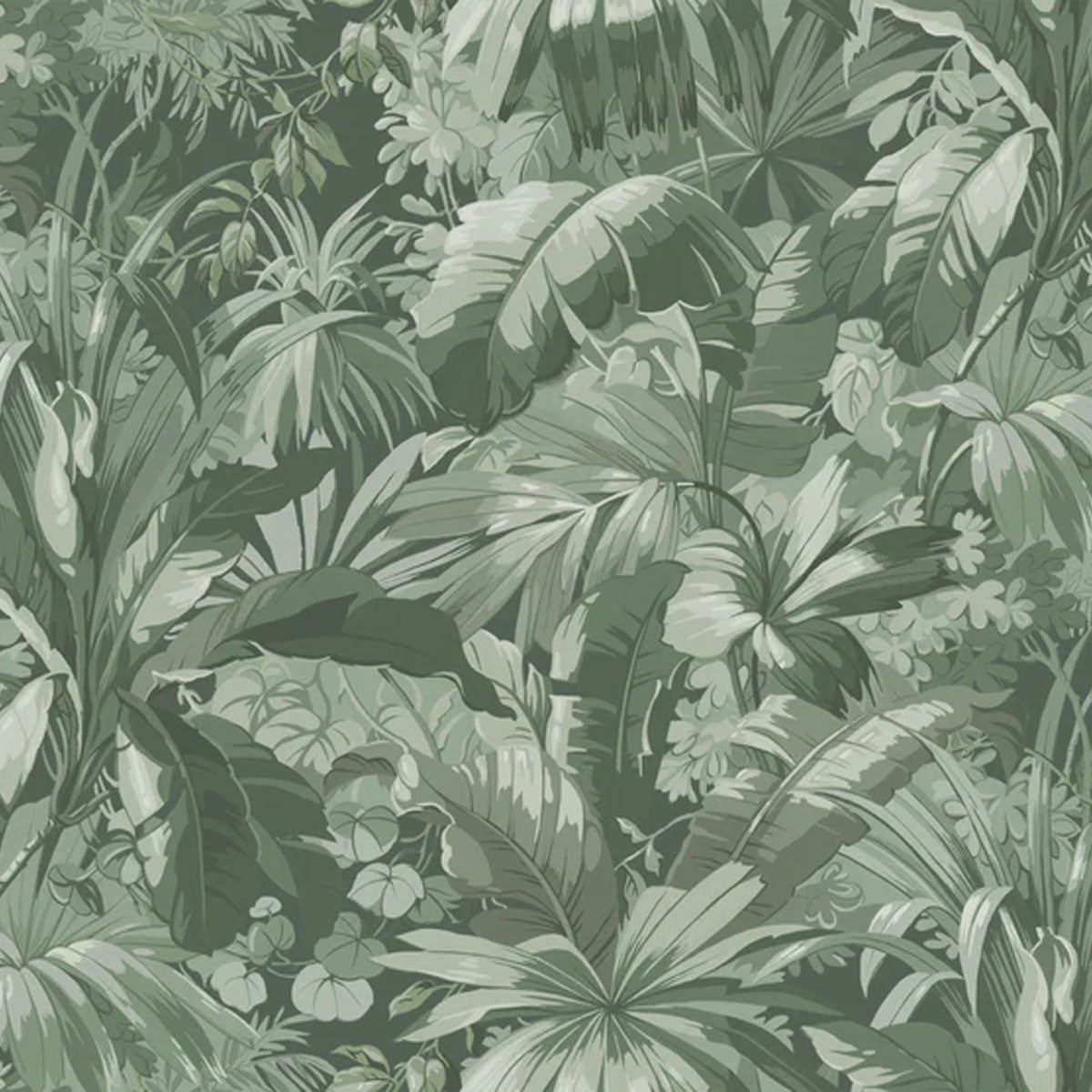 Palm Leaf Mural Wallpaper - Borastapeter