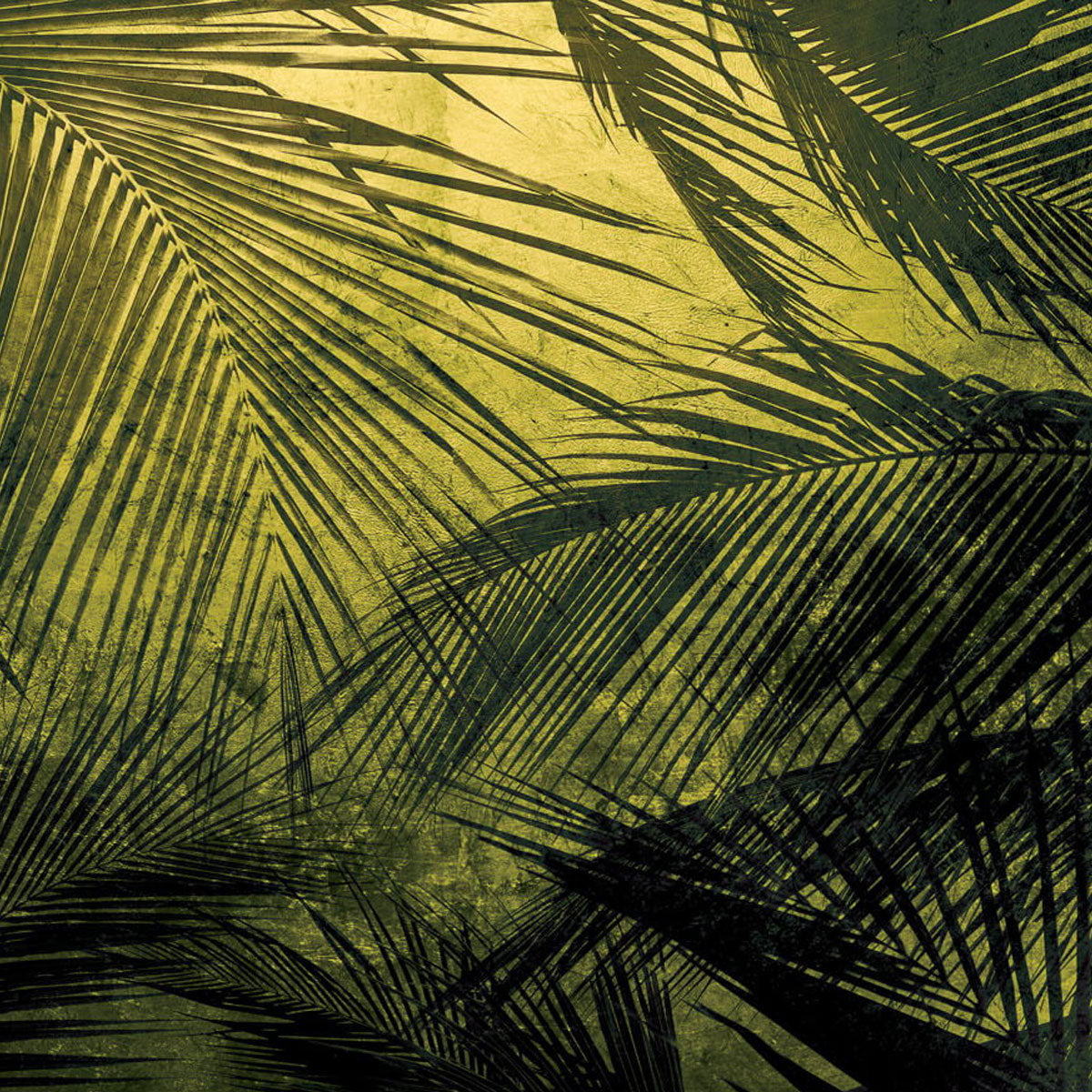 Palms Mural Wallpaper - Coordonne