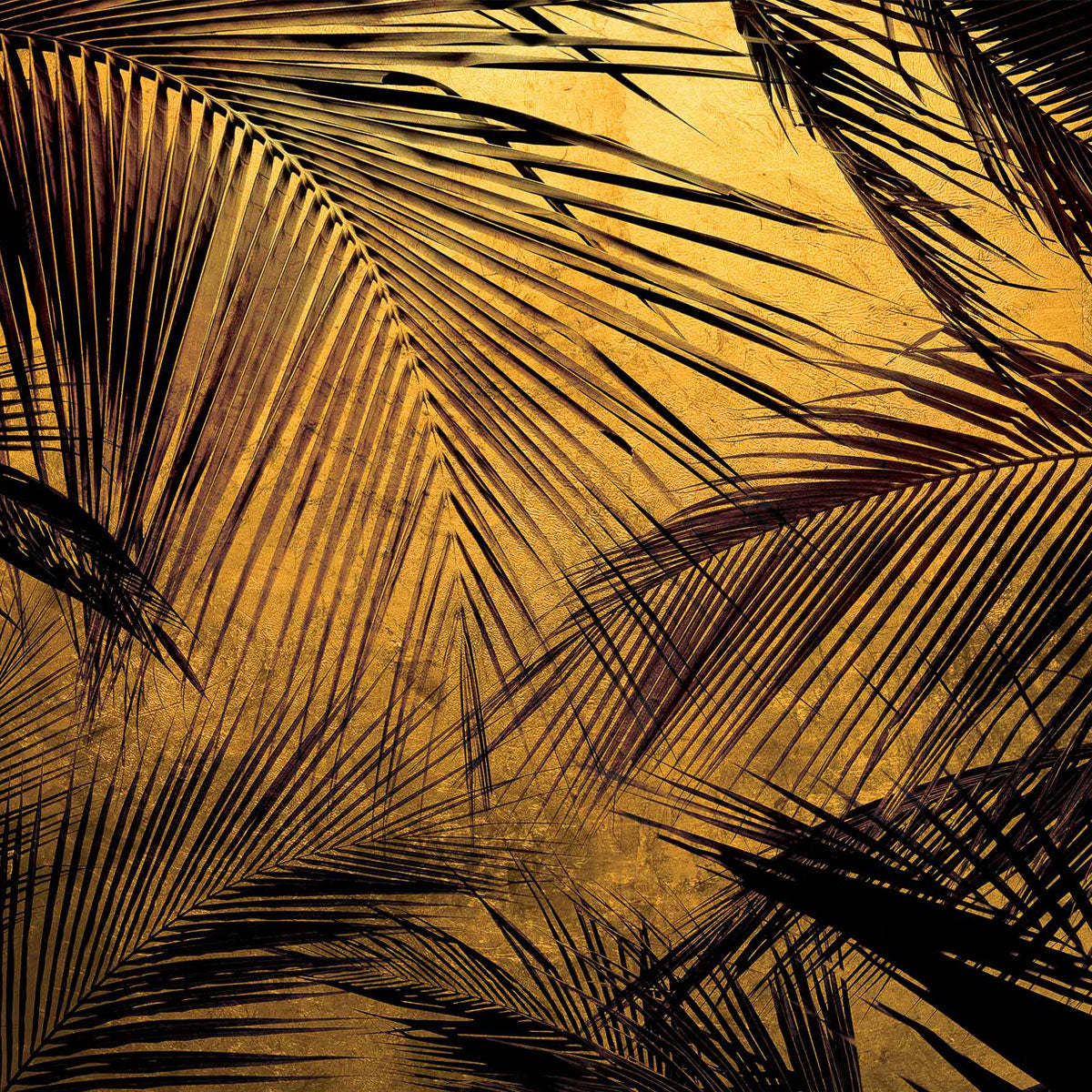 Palms Mural Wallpaper - Coordonne