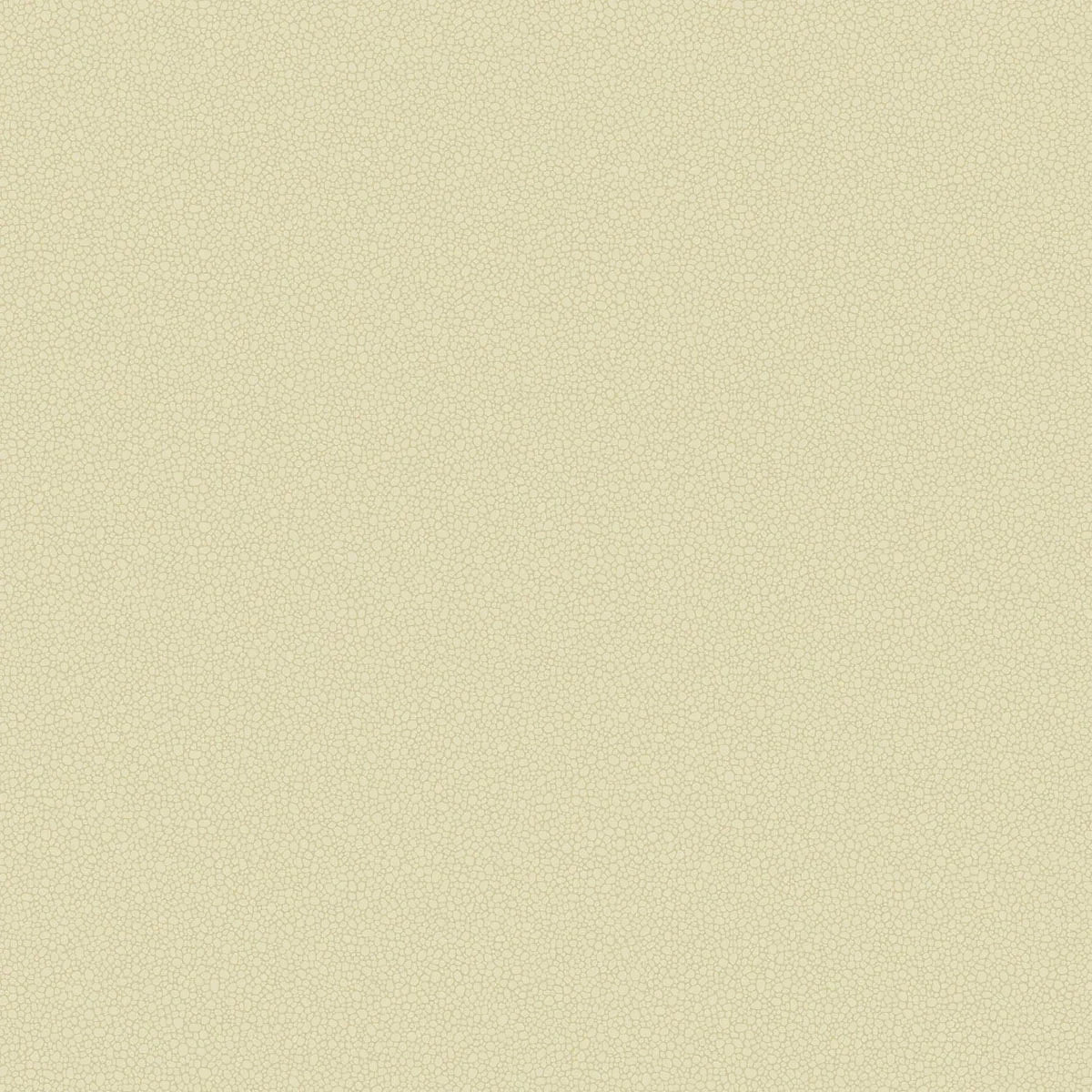 Pebble Wallpaper - Cole & Son
