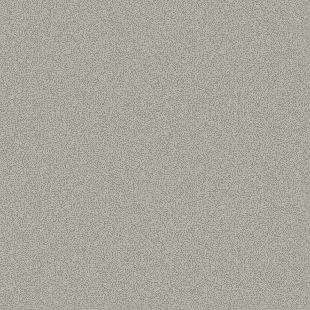 Pebble Wallpaper - Cole & Son