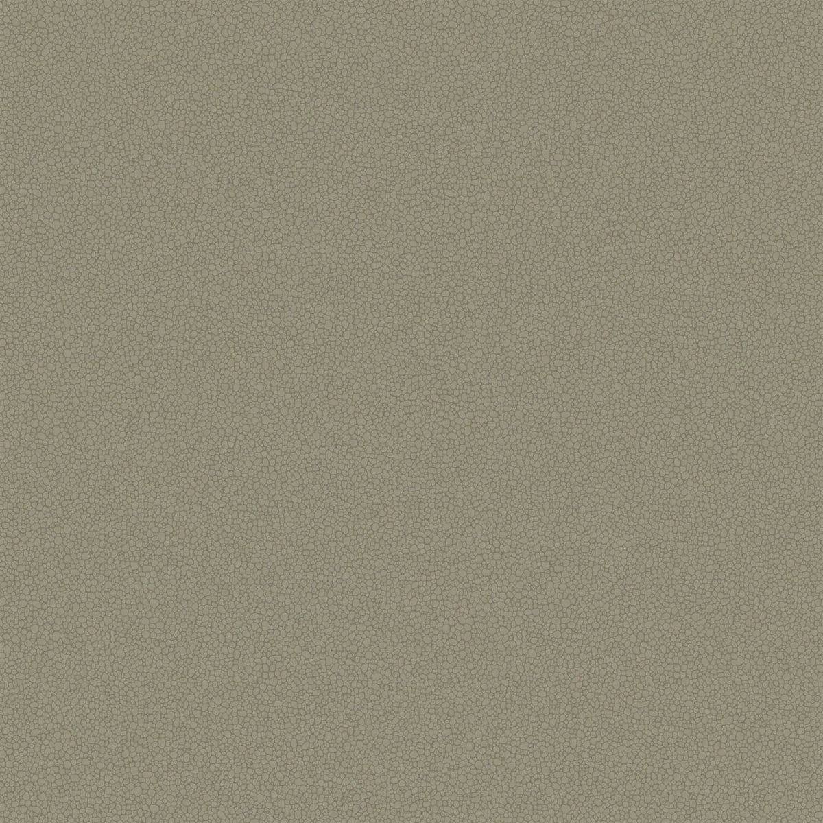 Pebble Wallpaper - Cole & Son