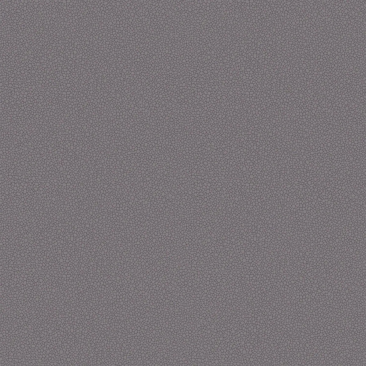 Pebble Wallpaper - Cole & Son