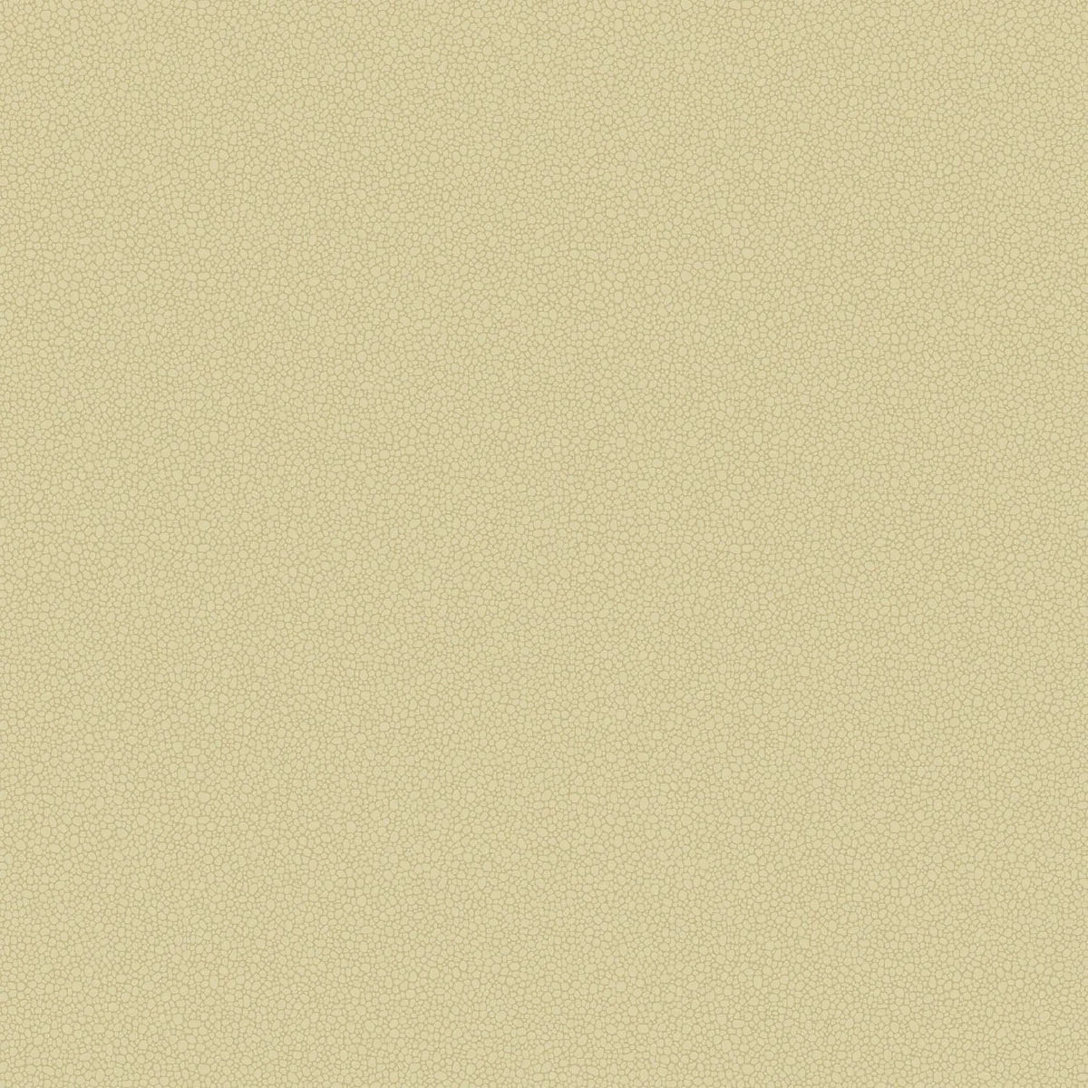 Pebble Wallpaper - Cole & Son