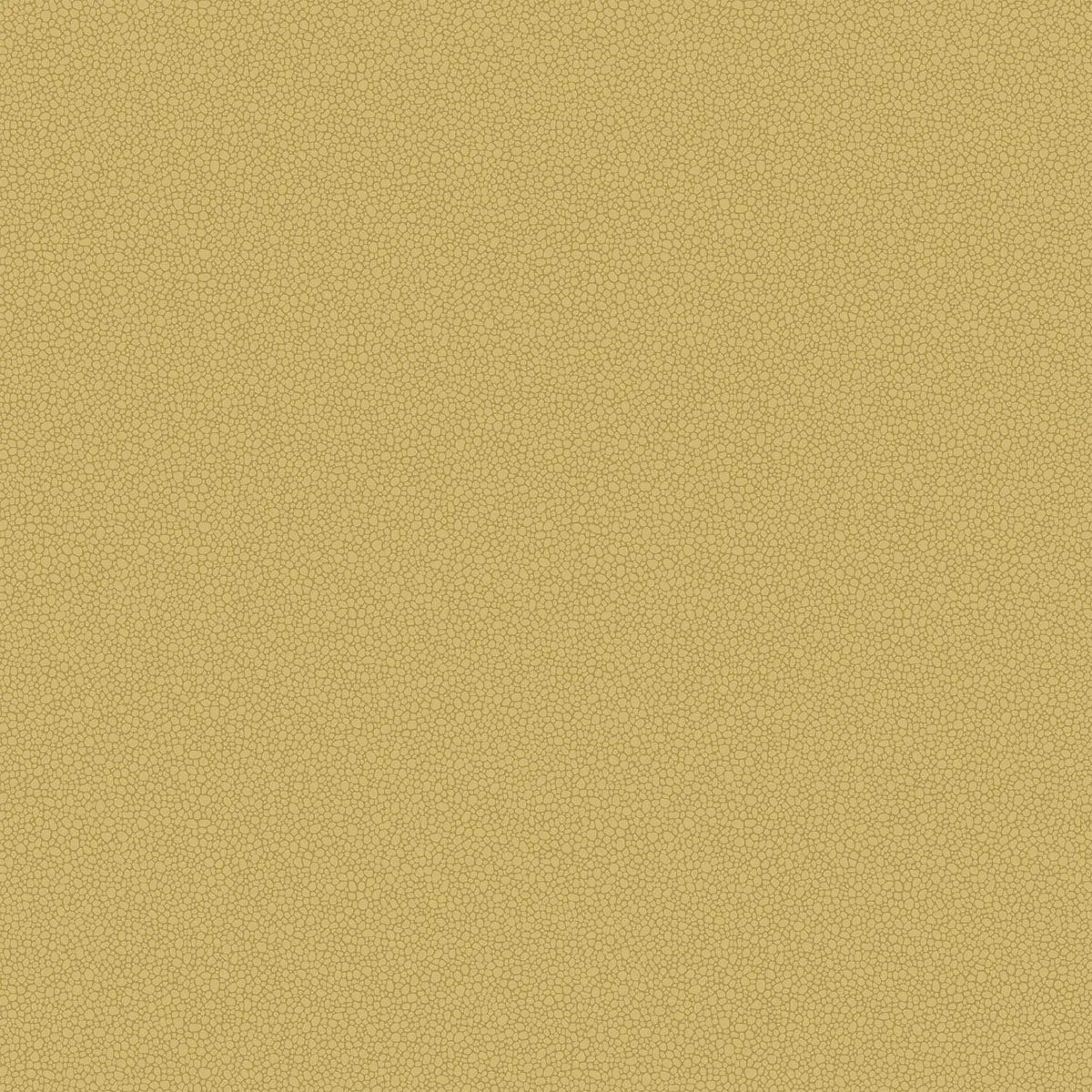 Pebble Wallpaper - Cole & Son