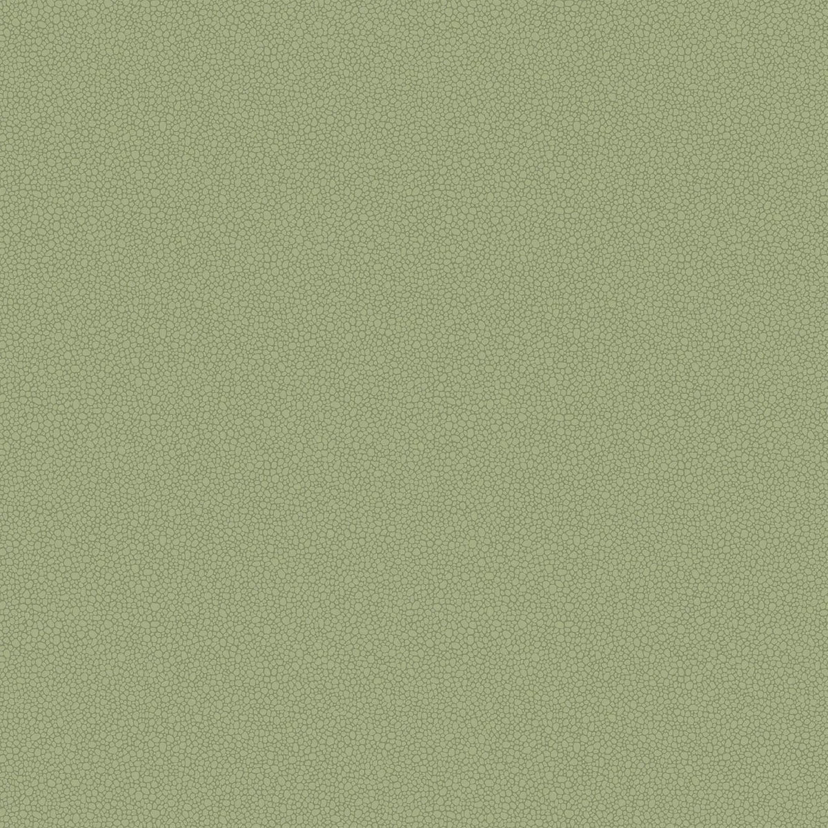 Pebble Wallpaper - Cole & Son