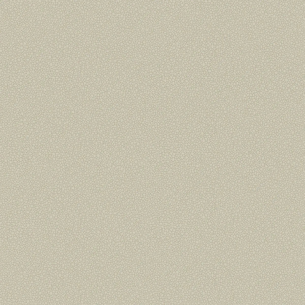 Pebble Wallpaper - Cole & Son