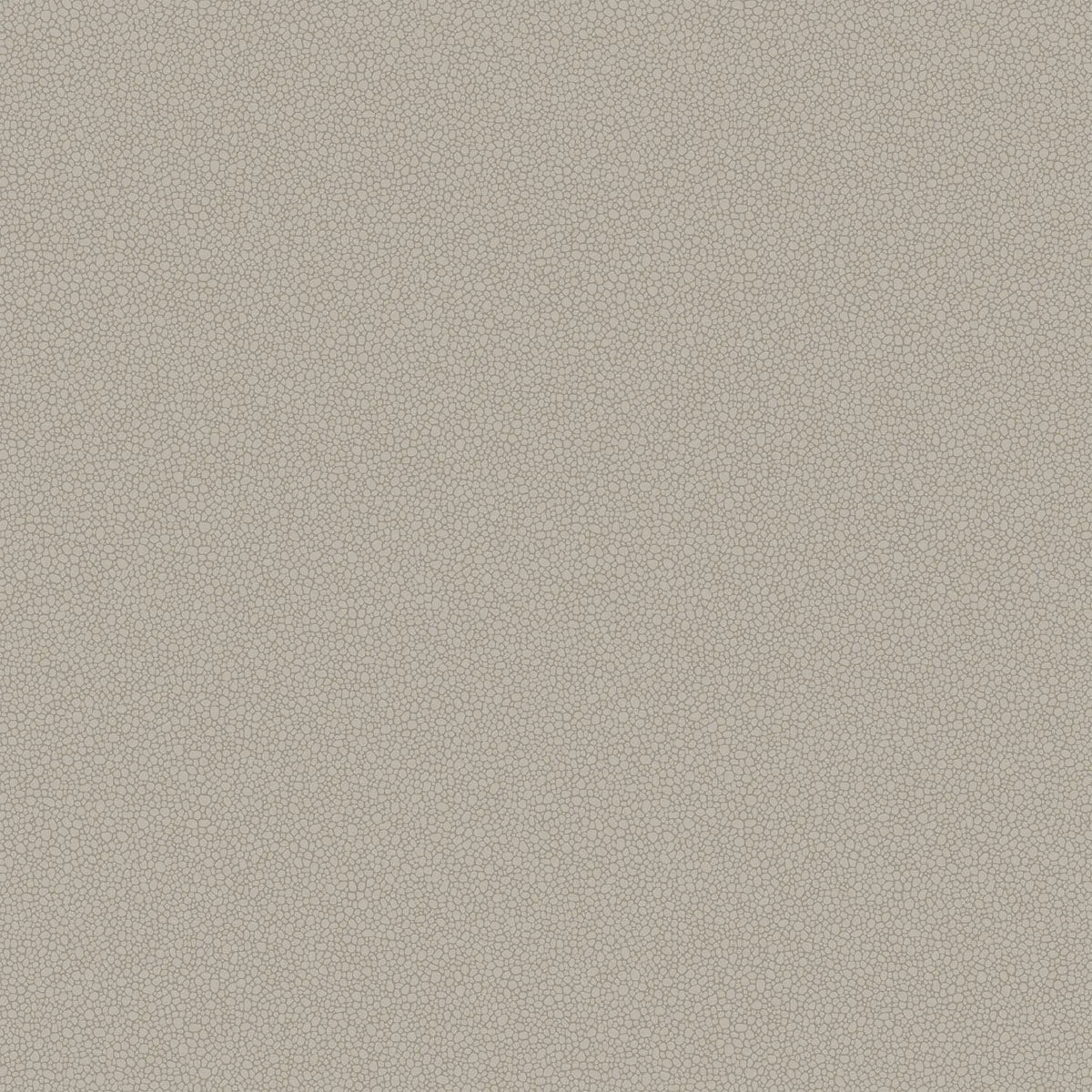 Pebble Wallpaper - Cole & Son