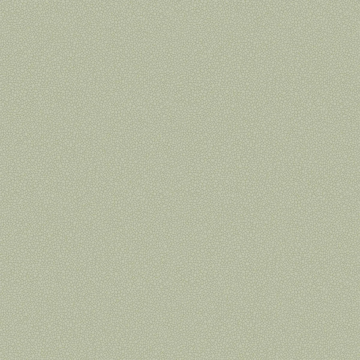 Pebble Wallpaper - Cole & Son
