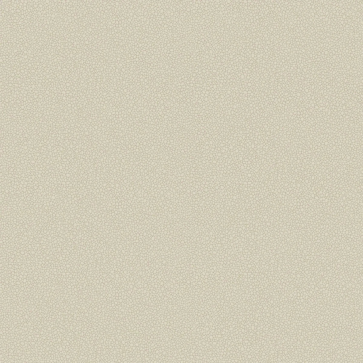 Pebble Wallpaper - Cole & Son